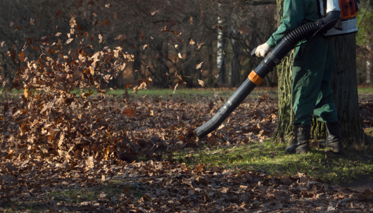 Debris & leaf removal in Bloomington, IL 
