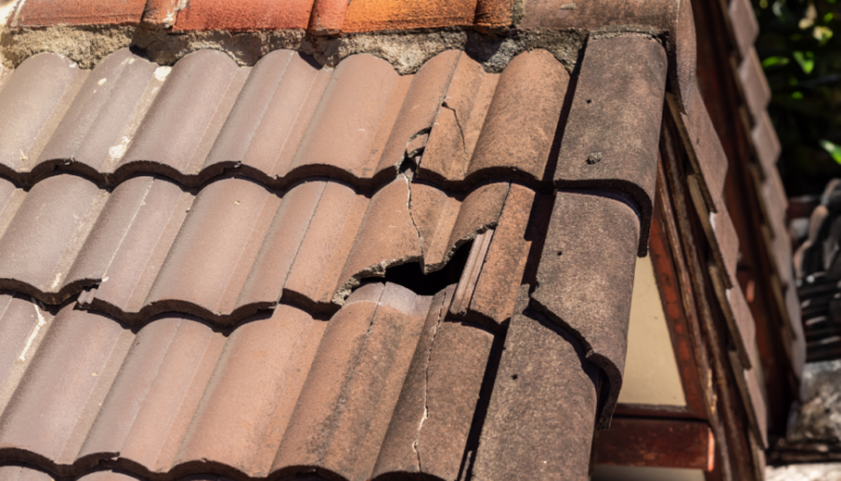 Animal/pest damage repair