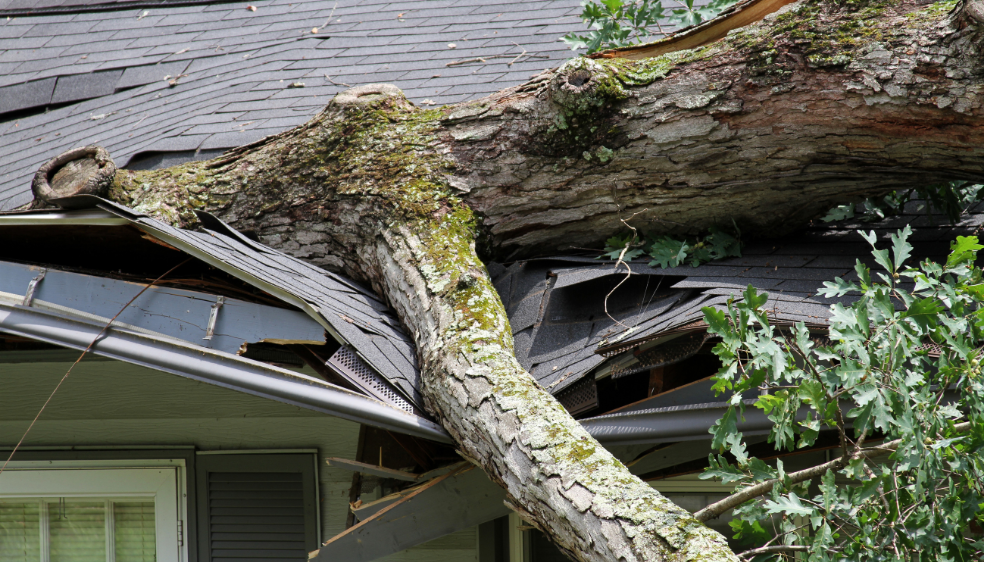 Bloomington Roofing tree/debris damage response services - Bloomington
