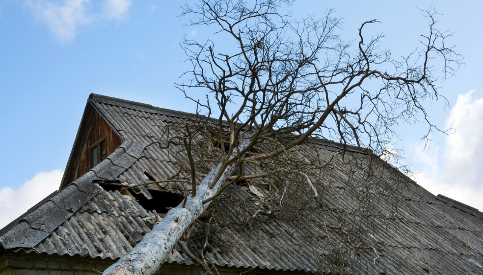Bloomington Roofing tree/branch damage repair services - Bloomington