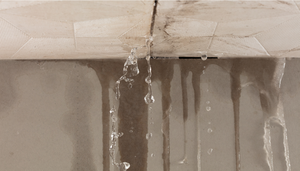Bloomington Roofing drip edge repair services - Bloomington
